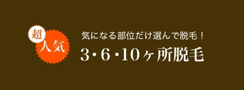 メンズガーデンの選べる脱毛プラン