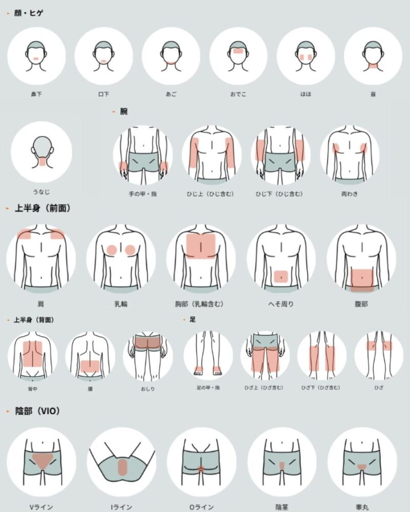 メンズ脱毛MAXの施術部位一覧