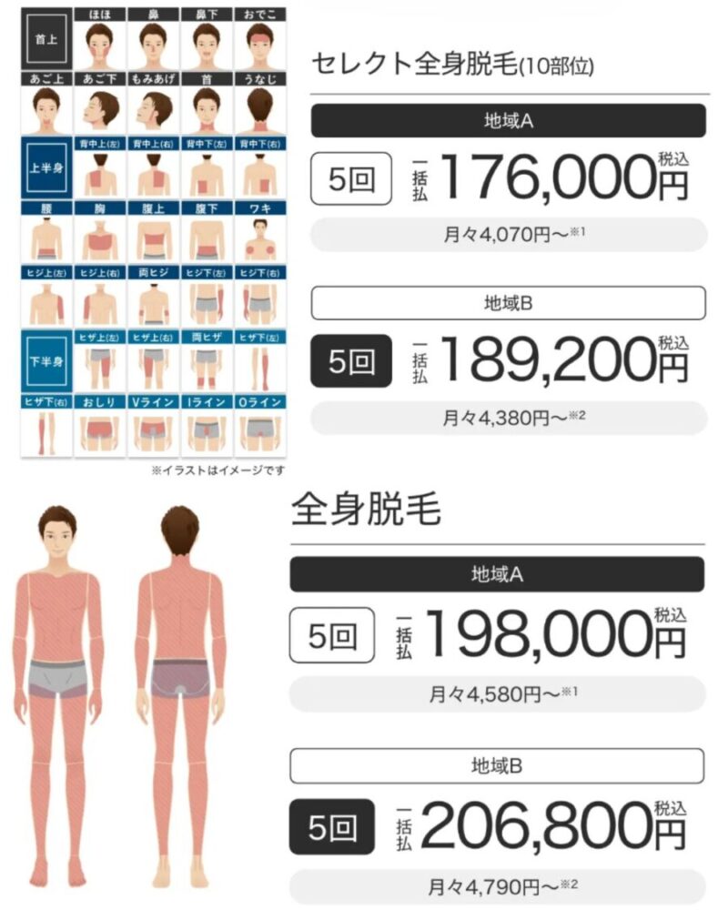 メンズエミナル：全身脱毛の施術部位