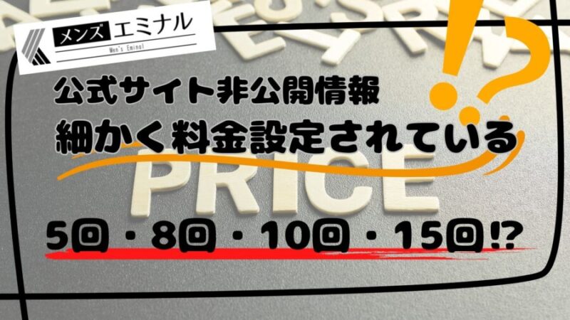 メンズエミナルには細かい回数毎に料金設定がされている