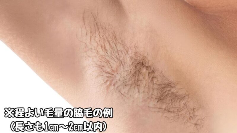 整えられた男の脇毛